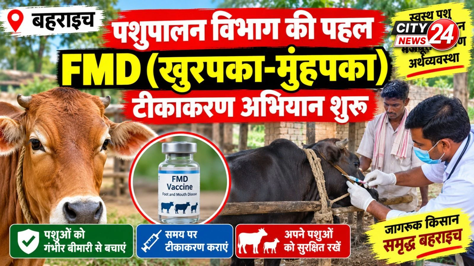 बहराइच: पशुओं को गंभीर बीमारी से बचाने के लिए FMD टीकाकरण अभियान शुरू